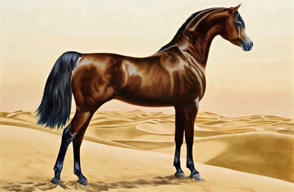 Marrakech abrite le Festival des courses de chevaux Pur-sang Arabe 