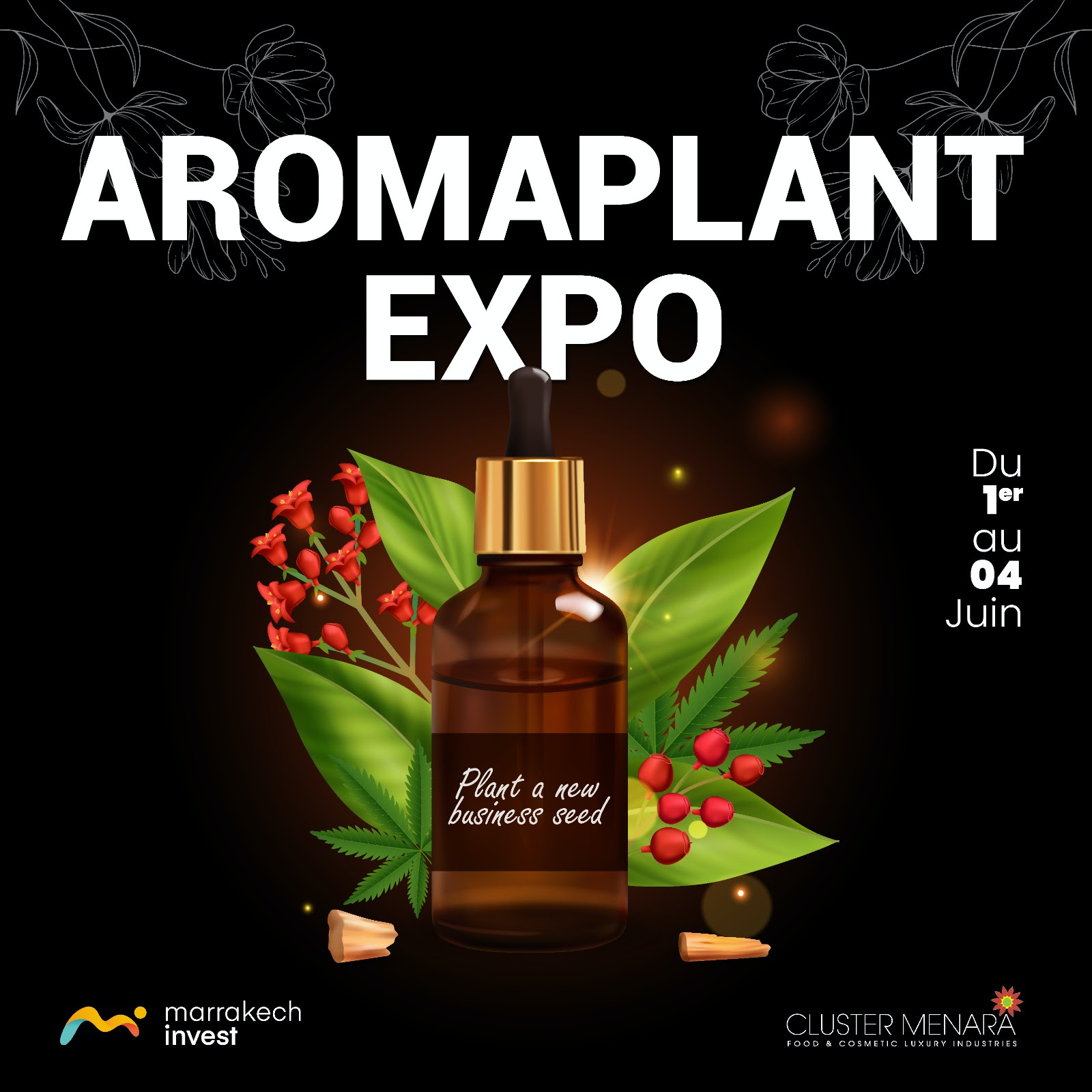 1ère édition d’Aromaplant Expo (1-4 juin Marrakech)