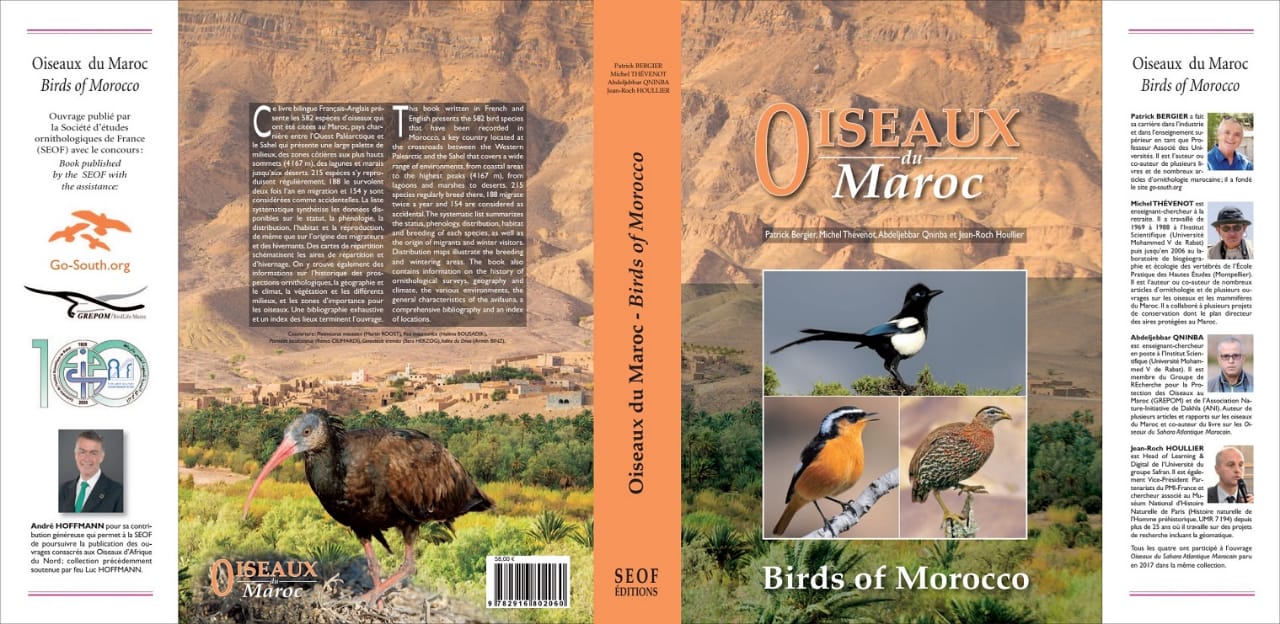 Les « Oiseaux du Maroc »