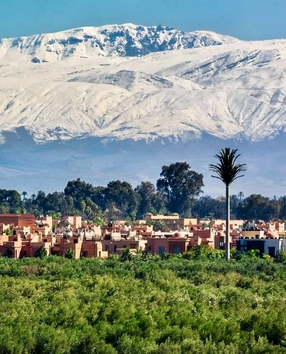Tendances touristiques au Maroc entre janvier et novembre 2023