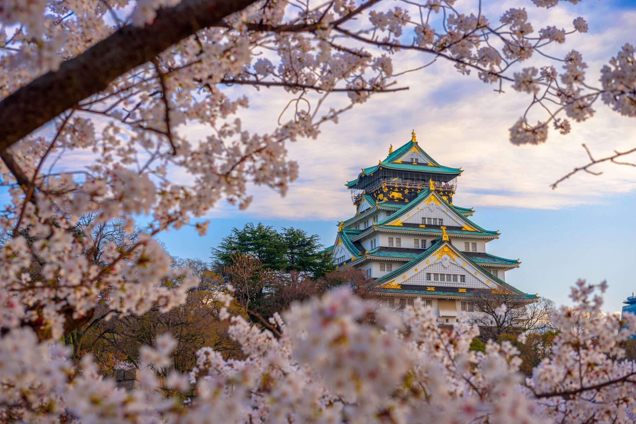 Japon : Cherry Blossom, culture & gastronomie