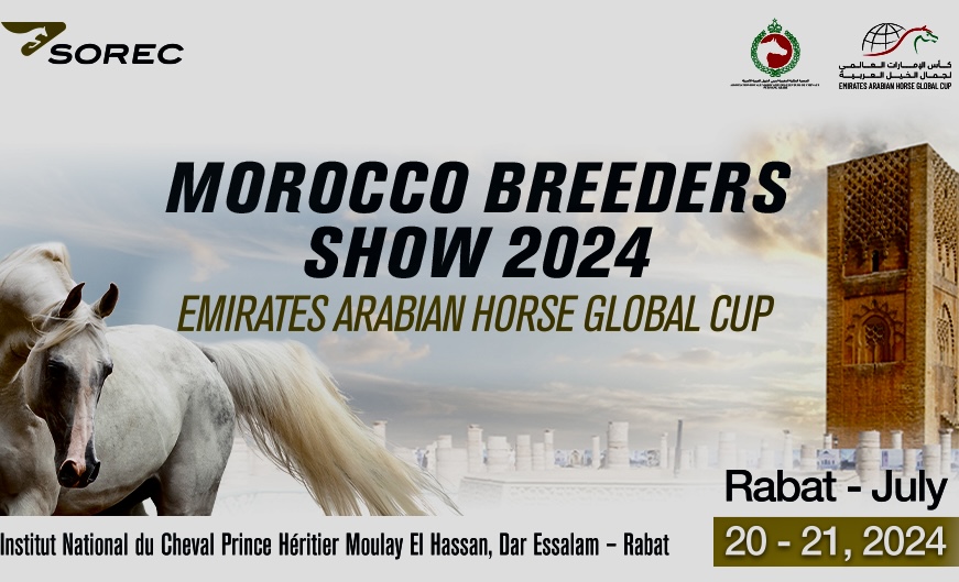 Rabat hôte de l’Emirates Arabian Horse Global Cup Morocco 2024