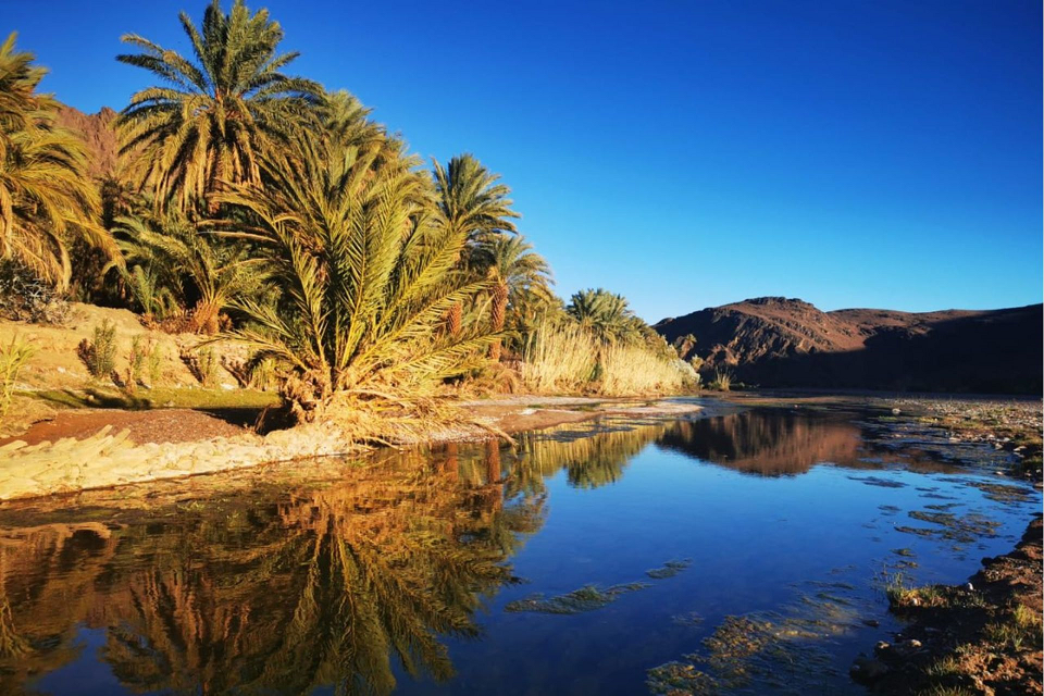 Pour une gouvernance touristique régénérée et équitable à Ouarzazate