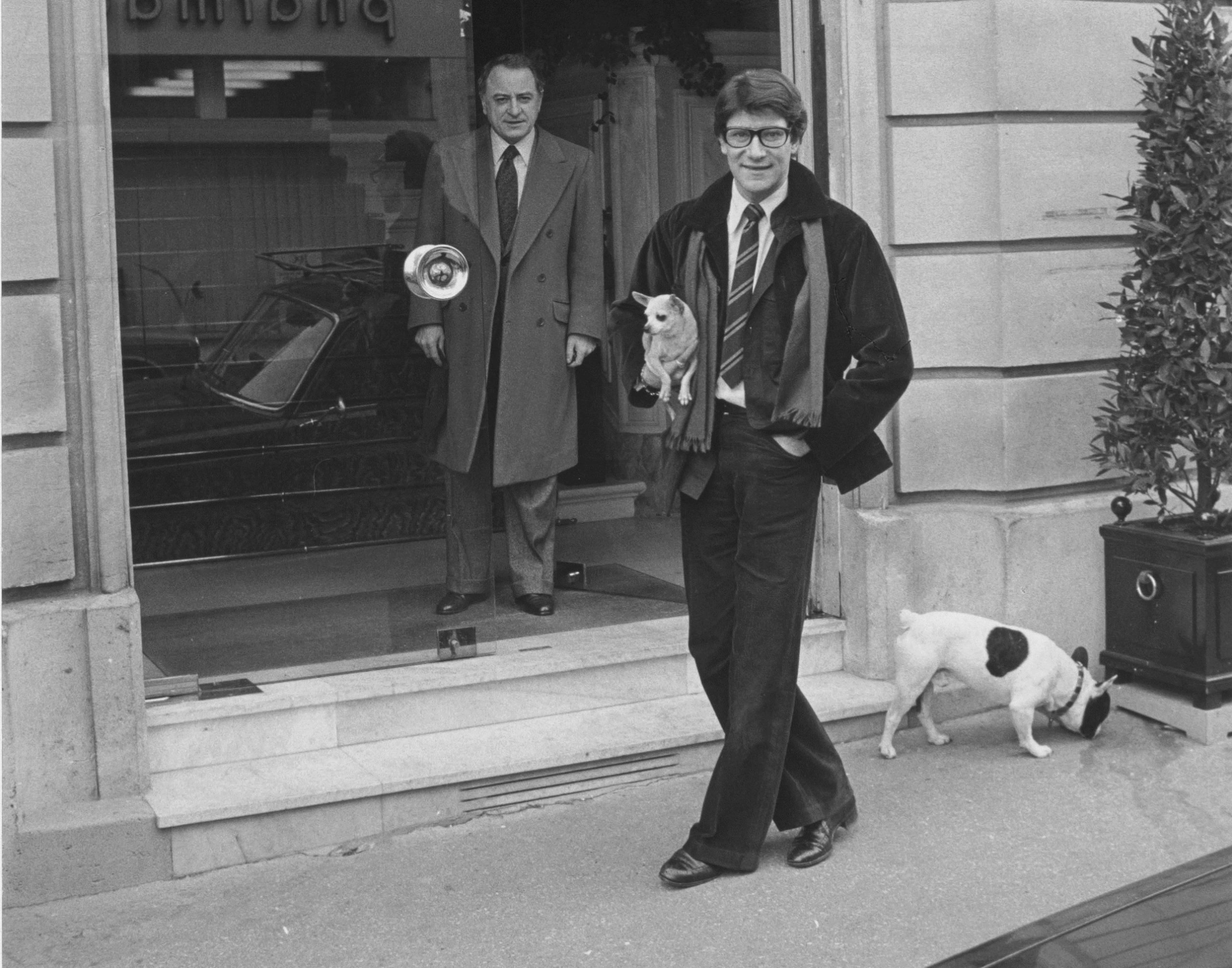 Exposition : “Yves Saint Laurent et ses chiens”