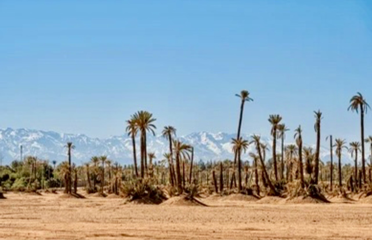 Marrakech : pourquoi l’«AVNA» n’est plus délivrée aux nouveaux projets hôteliers hors ville ?